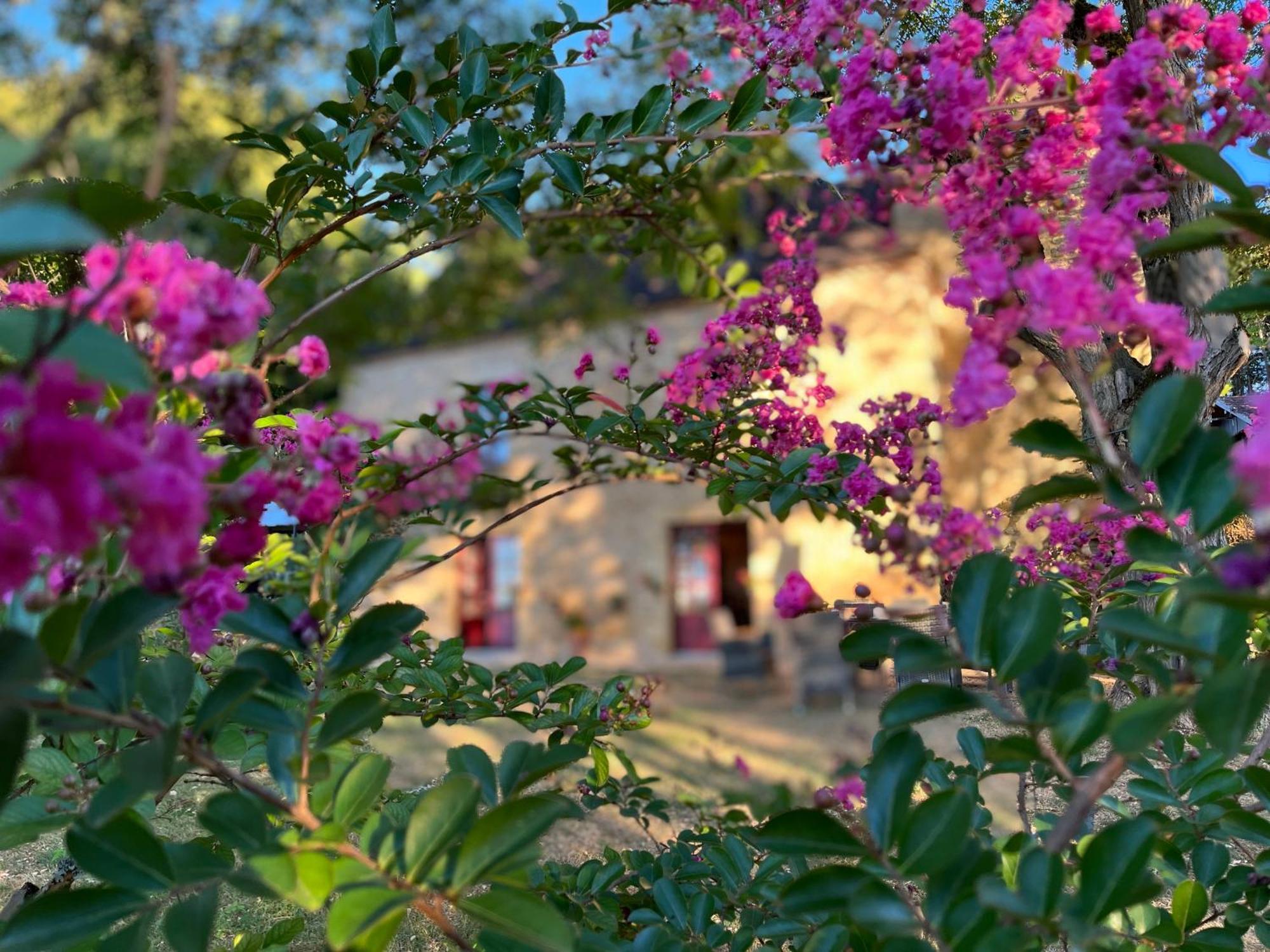 Roquebrune Saint-Alvere Exterior photo